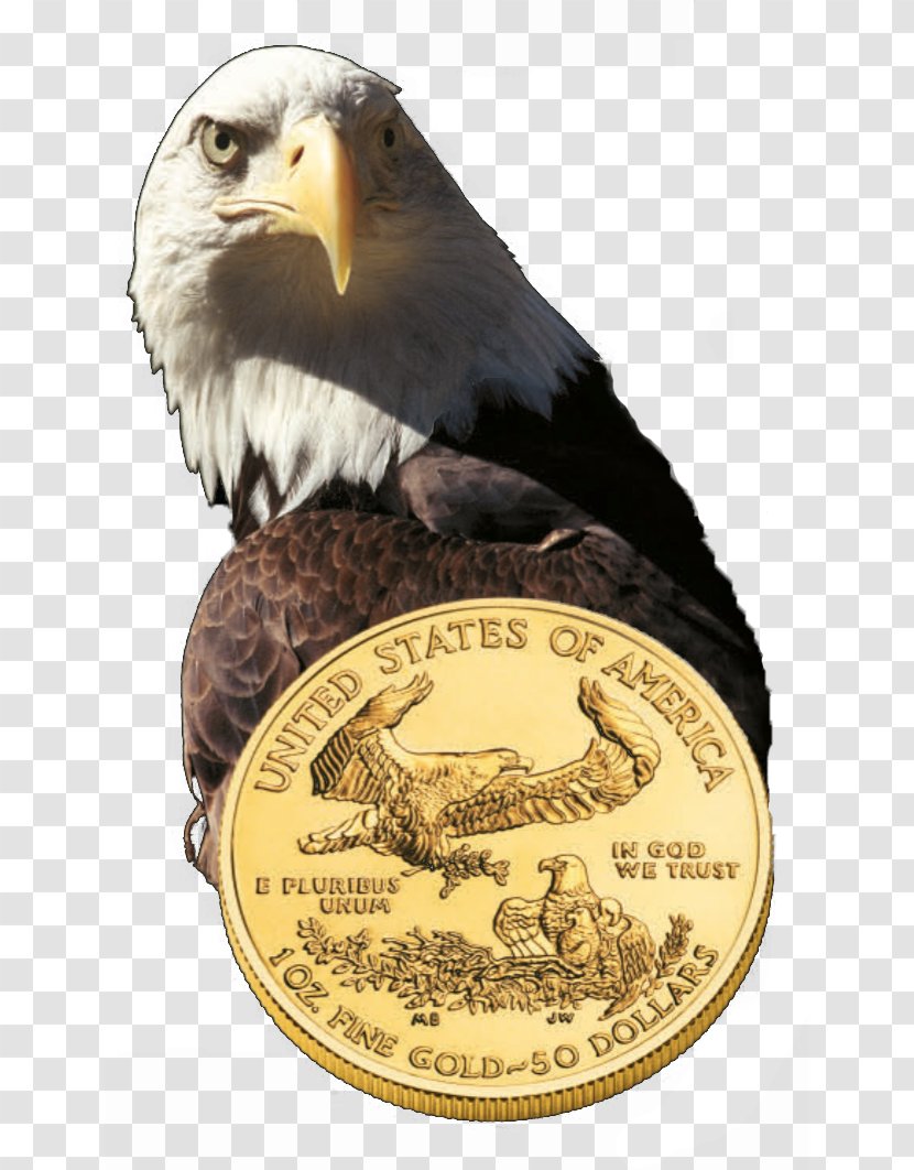 Bald Eagle United States Mint Gold Coin Transparent PNG