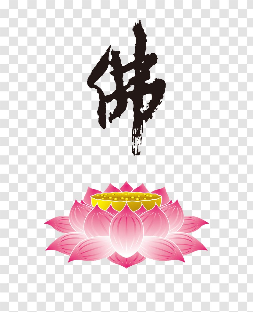 Lotus Sutra Nelumbo Nucifera Buddhism Buddhahood Bodhisattva - Material Transparent PNG