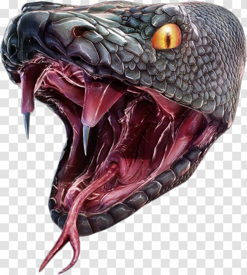 DeviantArt Snake Painting Hollywood - Artist - Anaconda Transparent PNG