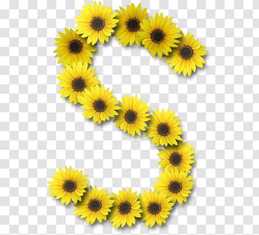 Letter Case Alphabet Common Sunflower - Flower - Floral Decoration Transparent PNG
