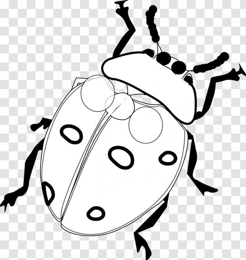 Ladybird Drawing Clip Art - Blog - Black And White Ladybug Clipart Transparent PNG