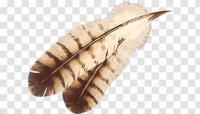Eagle Cartoon - White Feather - Natural Material Leaf Transparent PNG