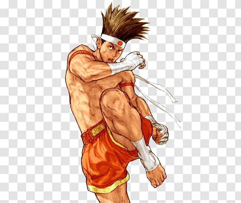 Fatal Fury: King Of Fighters Fury Special 2 Capcom Vs. SNK Sagat - Flower - Japanese Teenage Boxer Transparent PNG