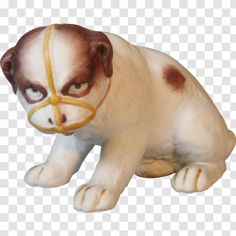Dog Breed Puppy Snout Canidae - Carnivora - Bulldog Transparent PNG