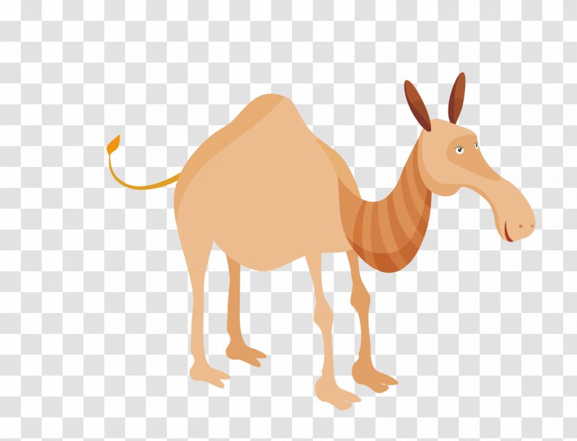 Royalty-free Drawing Illustration - Livestock - Vector Animal Camel Figure Transparent PNG