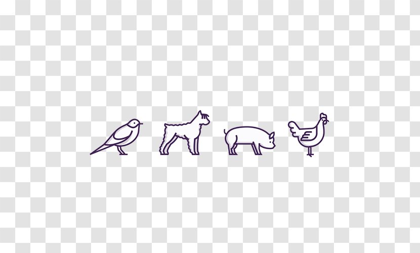 Canidae Animal Pen - Hand - Simple Graphics Set Transparent PNG