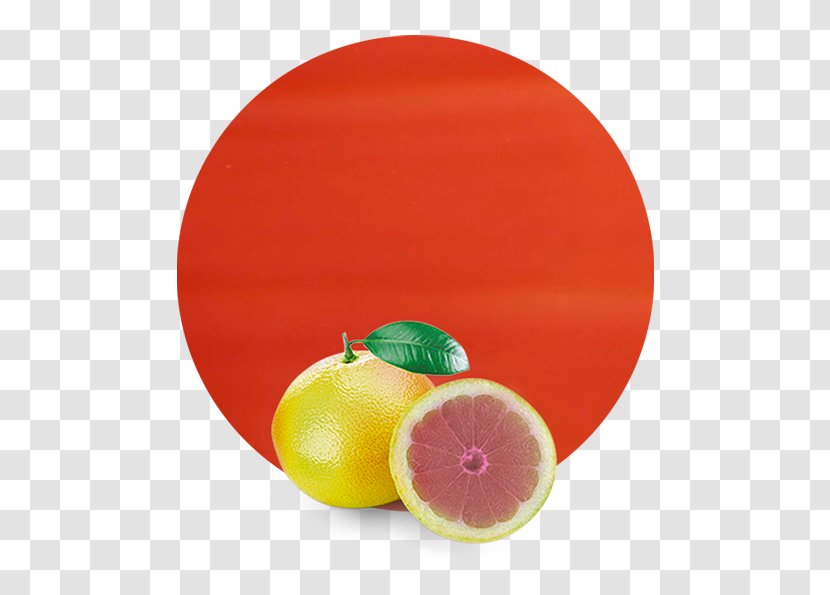 Blood Orange Grapefruit Juice Essential Oil Tangerine Transparent PNG