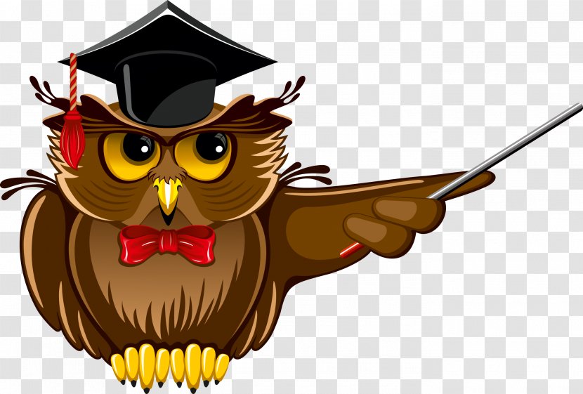 Clip Art Owl Teacher School - Beak Transparent PNG