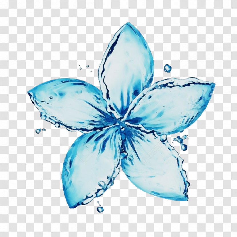 Watercolor Flower Background - Teal - Butterfly Plant Transparent PNG