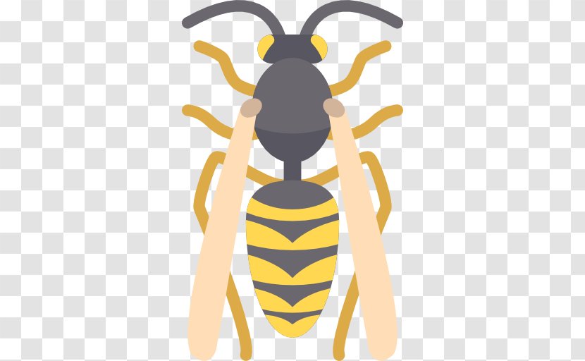 Honey Bee Wasp Insect Icon - Yellow Transparent PNG