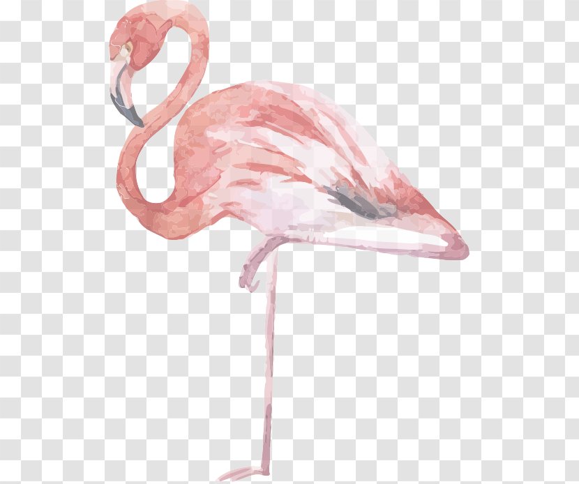 Flamingo Vector Graphics Bird Pink Illustration - Royaltyfree Transparent PNG