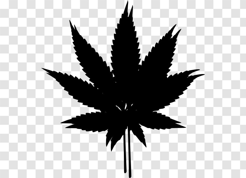 Cannabis Hash, Marihuana & Hemp Museum Clip Art - Flowering Plant Transparent PNG