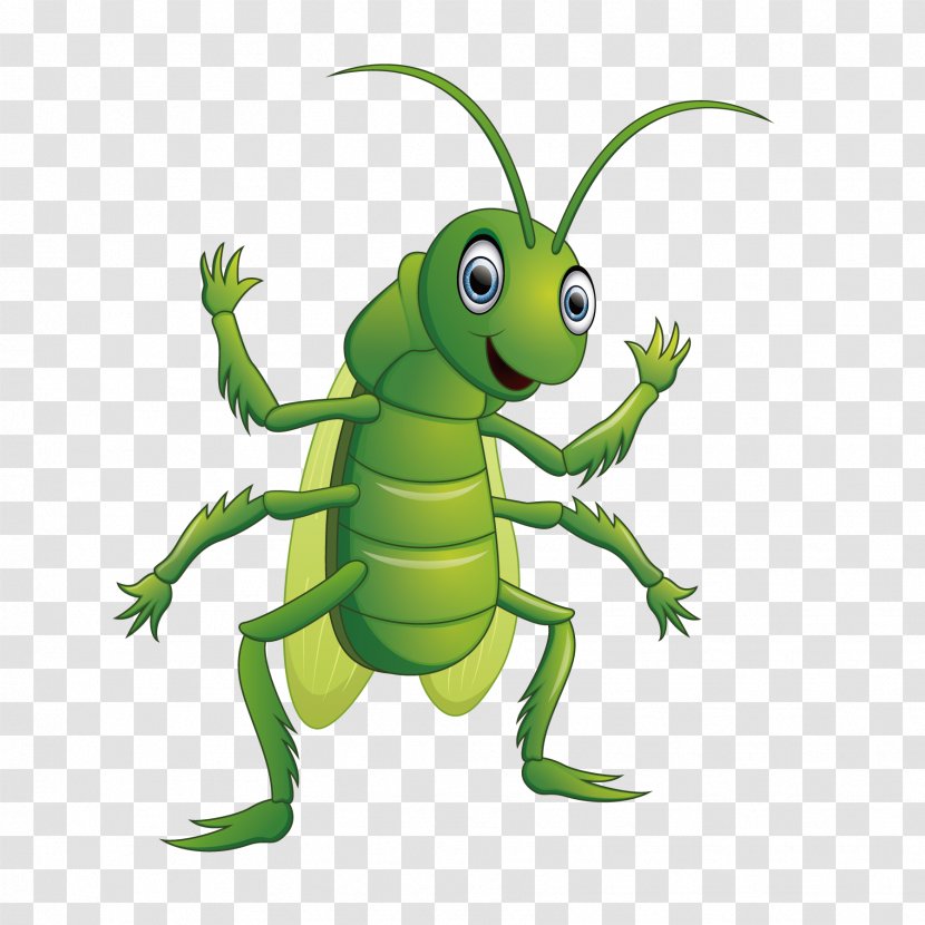 Grasshopper Cartoon Caelifera Illustration - Happy Insects Transparent PNG