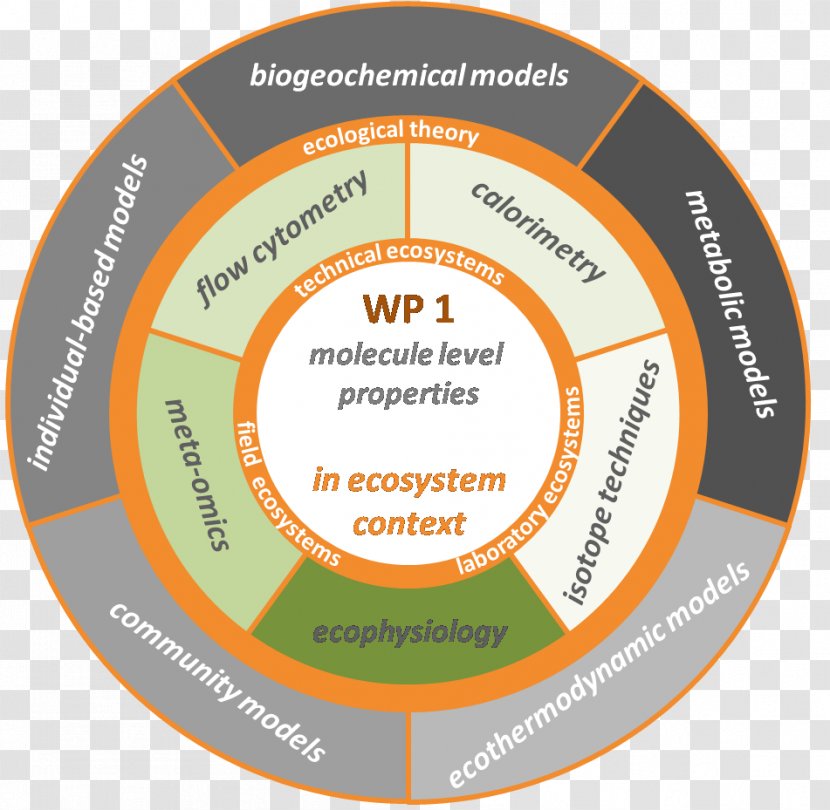 Ecosystem Functioning Ecology Services Natural Environment - Ecological Systems Theory Transparent PNG