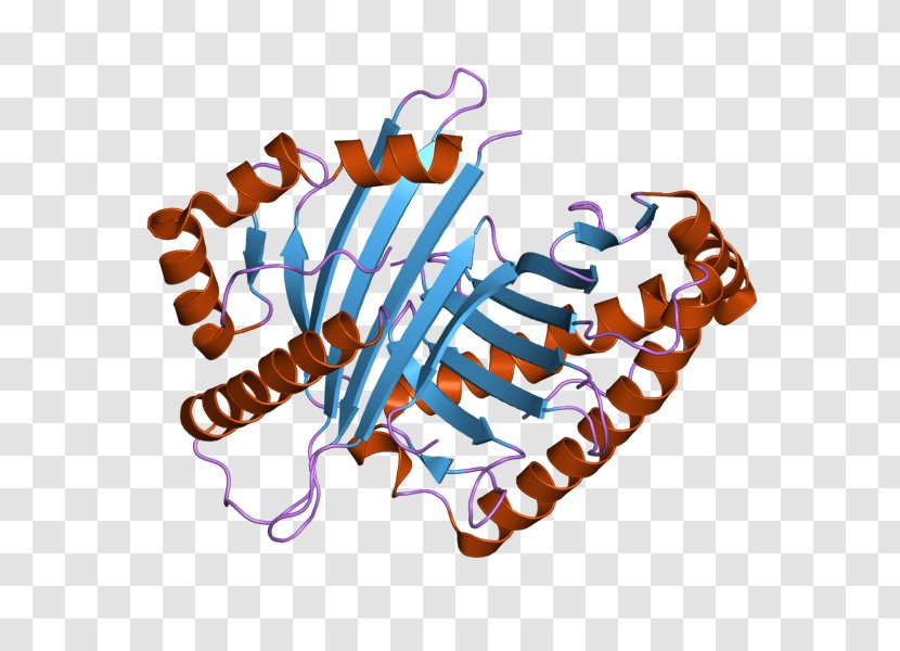 OGDH Oxoglutarate Dehydrogenase Complex Alpha-Ketoglutaric Acid Enzyme - Flower - Watercolor Transparent PNG