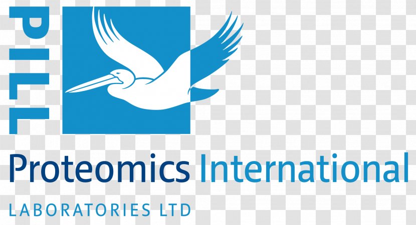 Logo Proteomics International ASX:PIQ Australian Securities Exchange Brand - 20 11 Transparent PNG