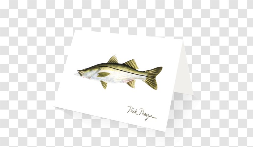 Fish .cf - Cf - Mangrove Swamp Transparent PNG