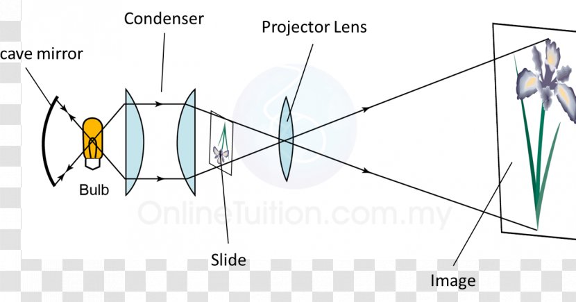 Product Design Line Slide Projectors Point - Triangle Transparent PNG