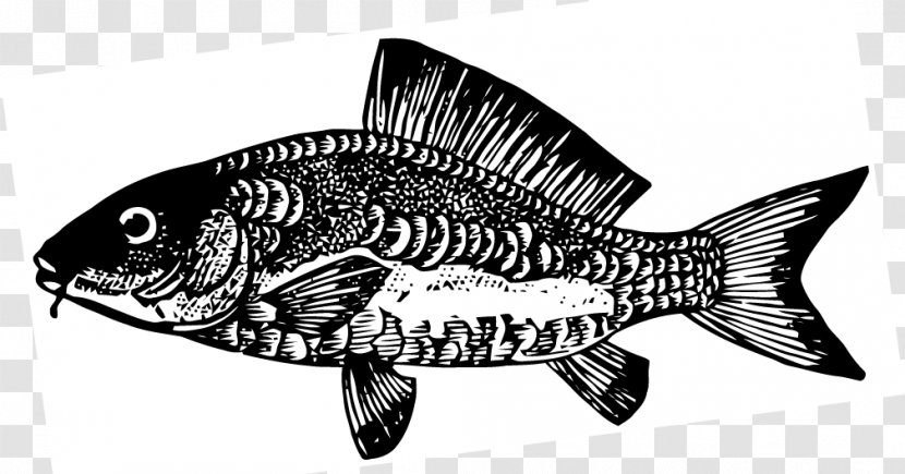 Fish Line Art - Carp Transparent PNG