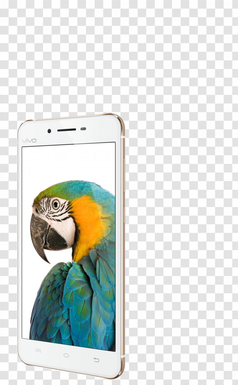 Vivo V9 Smartphone X7 Nokia X6-00 - Bird - Screen Transparent PNG