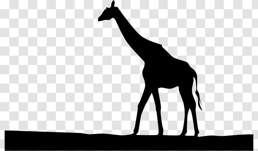 Silhouette West African Giraffe Royalty-free Clip Art - Logo Transparent PNG