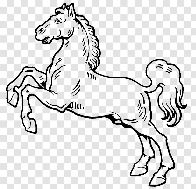 Mustang Arabian Horse Lipizzan Friesian Rearing - Black And White Transparent PNG