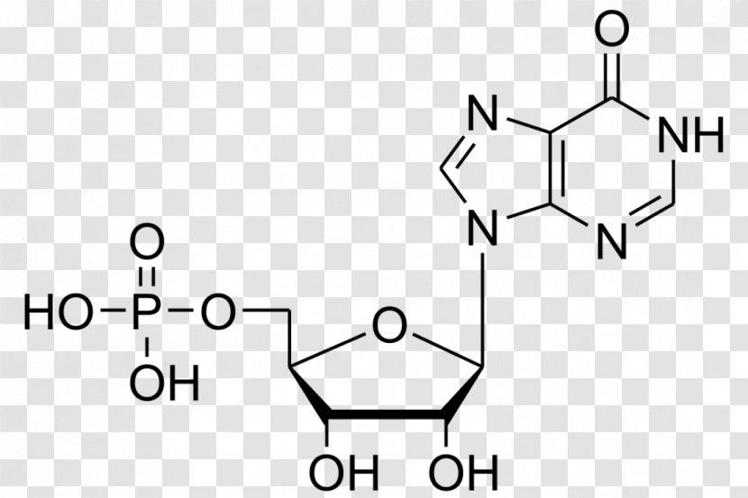 Inosinic Acid Adenosine Monophosphate Deoxyuridine Guanosine - White - Symmetry Transparent PNG