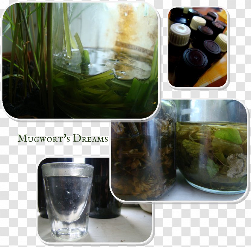 Herbal Tea Tincture Medicinal Plants Herbalism - Essential Oil Bottle Transparent PNG