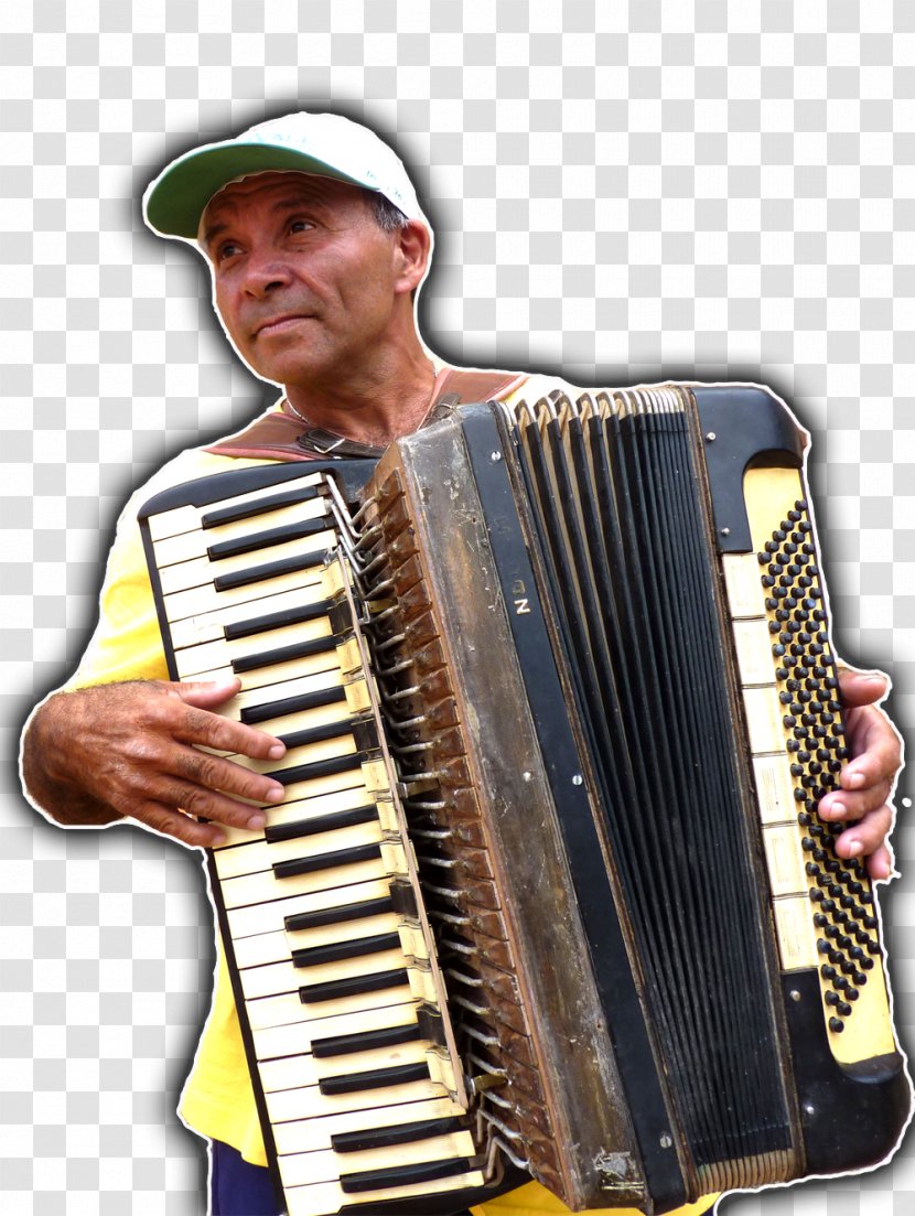 Trikiti Diatonic Button Accordion Bandoneon Garmon - Flower Transparent PNG