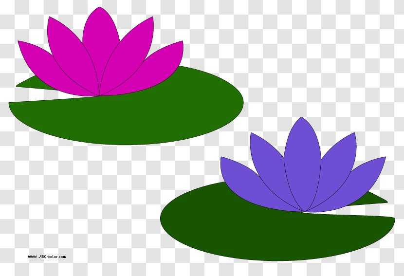 Water Lilies Le Bassin Aux Nymphxe9as Egyptian Lotus Easter Lily Nymphaea Alba - Free Content - Cliparts Transparent PNG