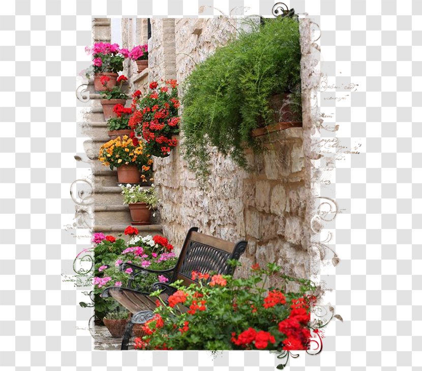 Flowerpot Spello Garden Green Wall - Window - Flower Transparent PNG