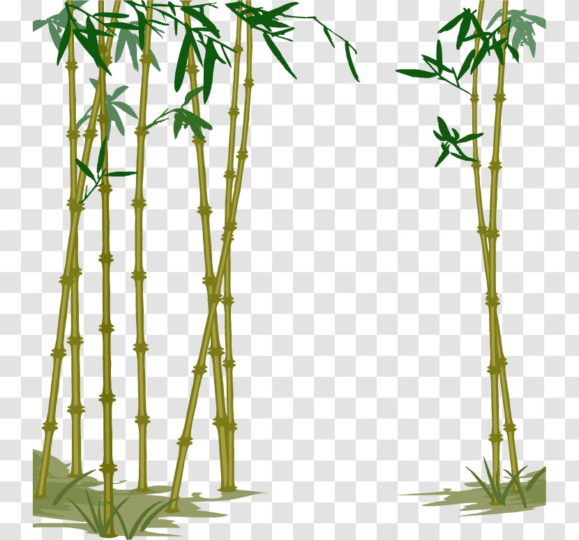 Bamboe Bamboo Computer File - Floral Design - Vector Hand-painted Transparent PNG