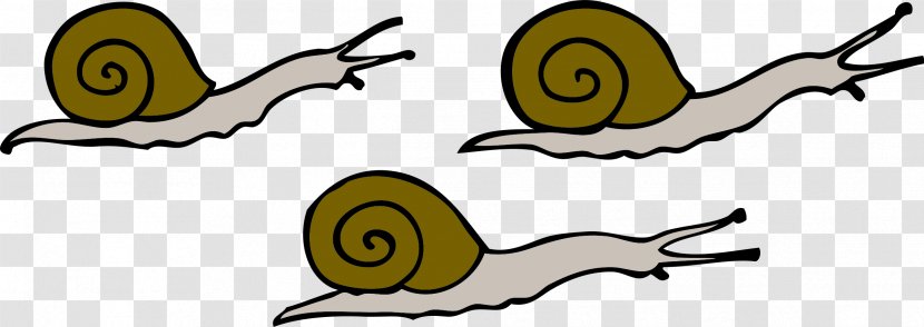 Snail Clip Art - Cartoon - Snails Transparent PNG