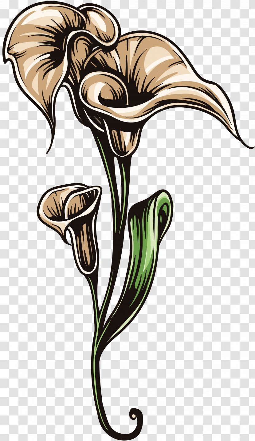 Drawing Pencil Image Design - Art Flowers Flower Transparent PNG