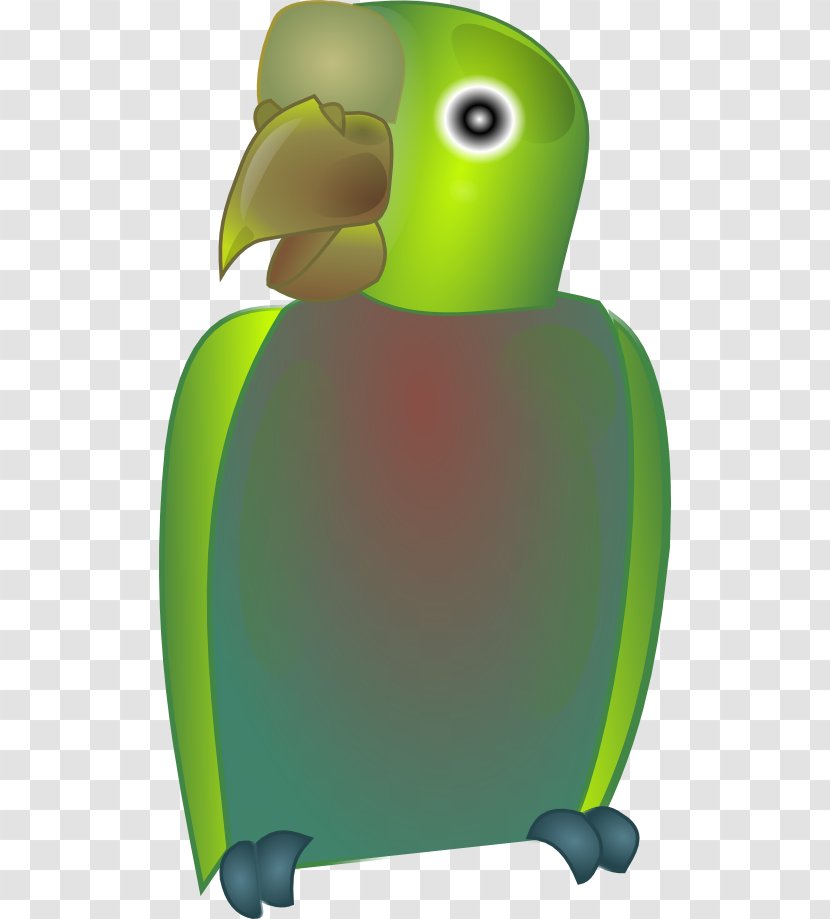 Parrot Bird Budgerigar Beak Clip Art Transparent PNG