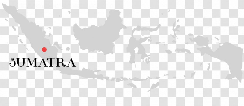 Indonesia Vector Map Transparent PNG