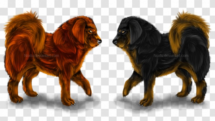 Tibetan Mastiff English Dog Breed Canidae Puppy Transparent PNG