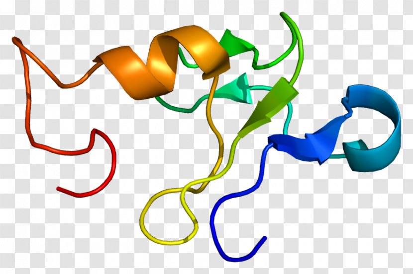 GTF2H2 Transcription Factor II H XPB GTF2H5 ERCC2 - Protein - Xpb Transparent PNG