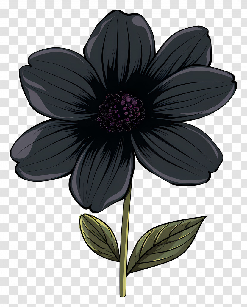 Flower - Elegant Black Flower Illustration Transparent PNG