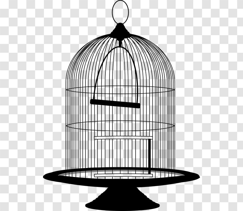 Birdcage Clip Art - Bird - Jaula Transparent PNG