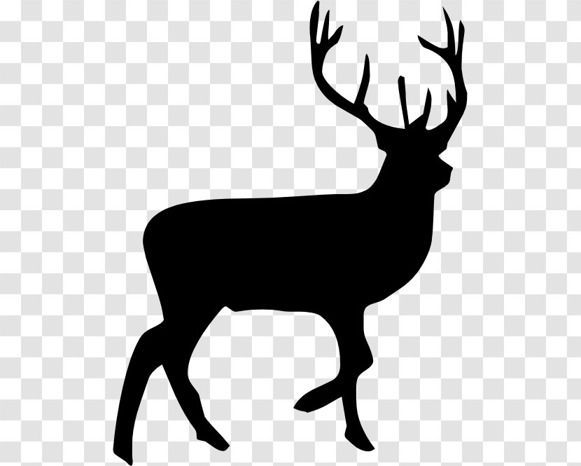 Reindeer Moose Silhouette Clip Art - Deer Transparent PNG