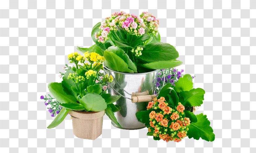 Grow Light Incandescent Bulb Light-emitting Diode Lighting - Flower Bouquet - Pot Plants Transparent PNG