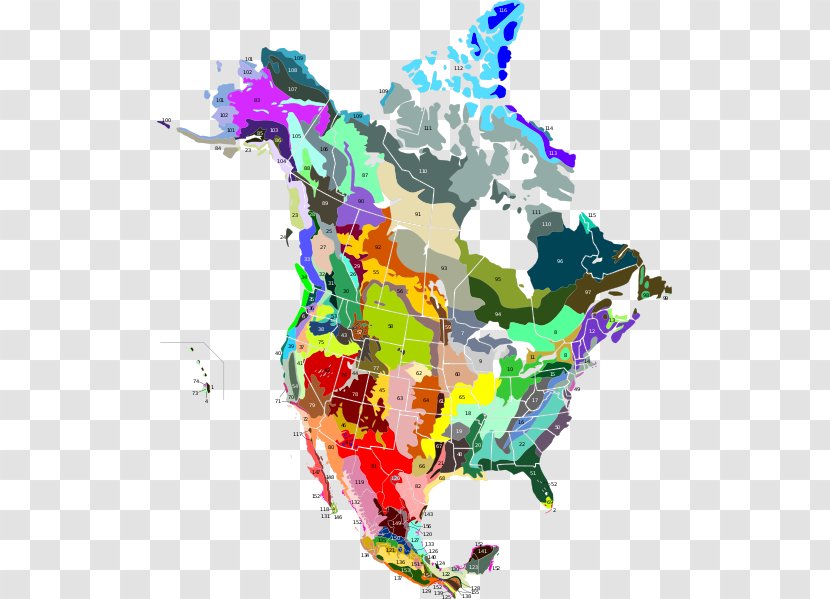United States Of America Canada Ecoregion Taiga Puerto Rican Moist Forests Transparent PNG