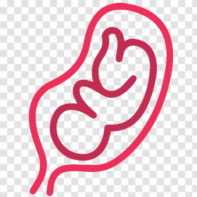 Uterus Fetus In Vitro Fertilisation Child - Cartoon Transparent PNG