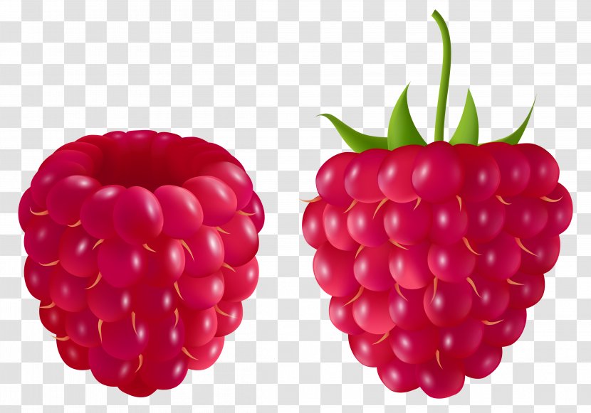 Raspberry Blackberry Fruit Clip Art - Berry - Transparent Clipart Picture Transparent PNG