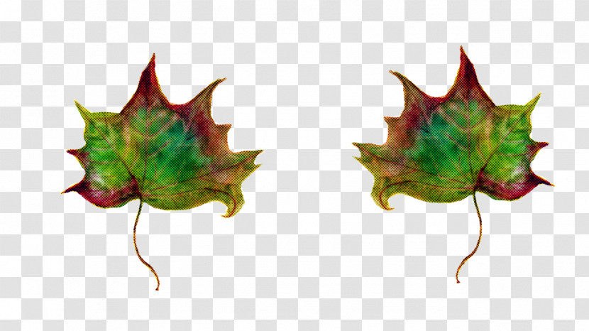 Maple Leaf Transparent PNG