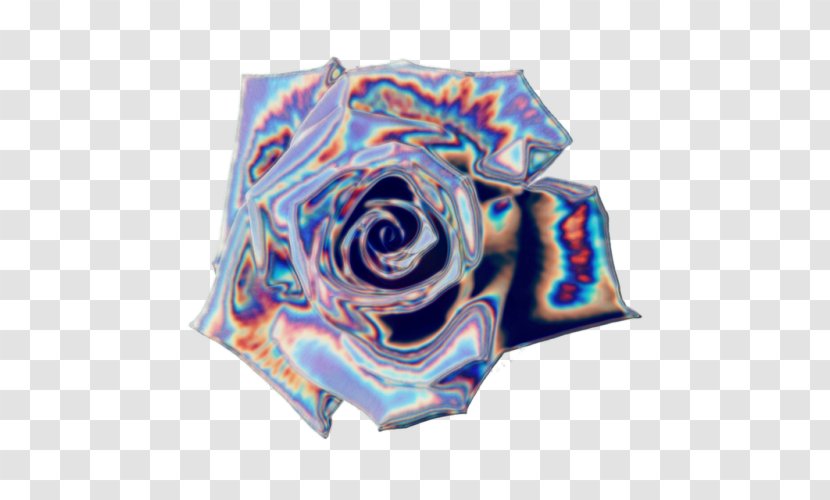 Rose Family Textile - Holograph Transparent PNG