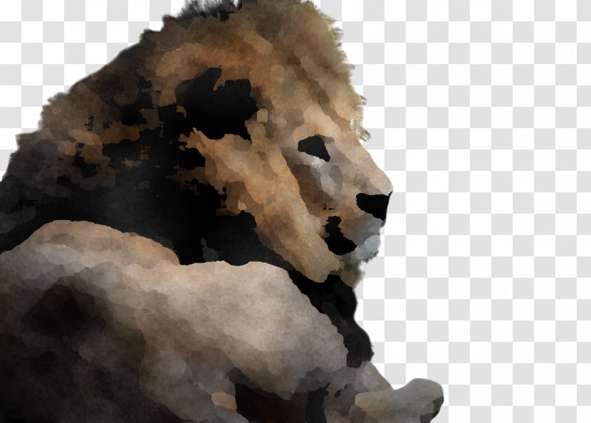 Lion Wildlife Snout Animal Figure Transparent PNG