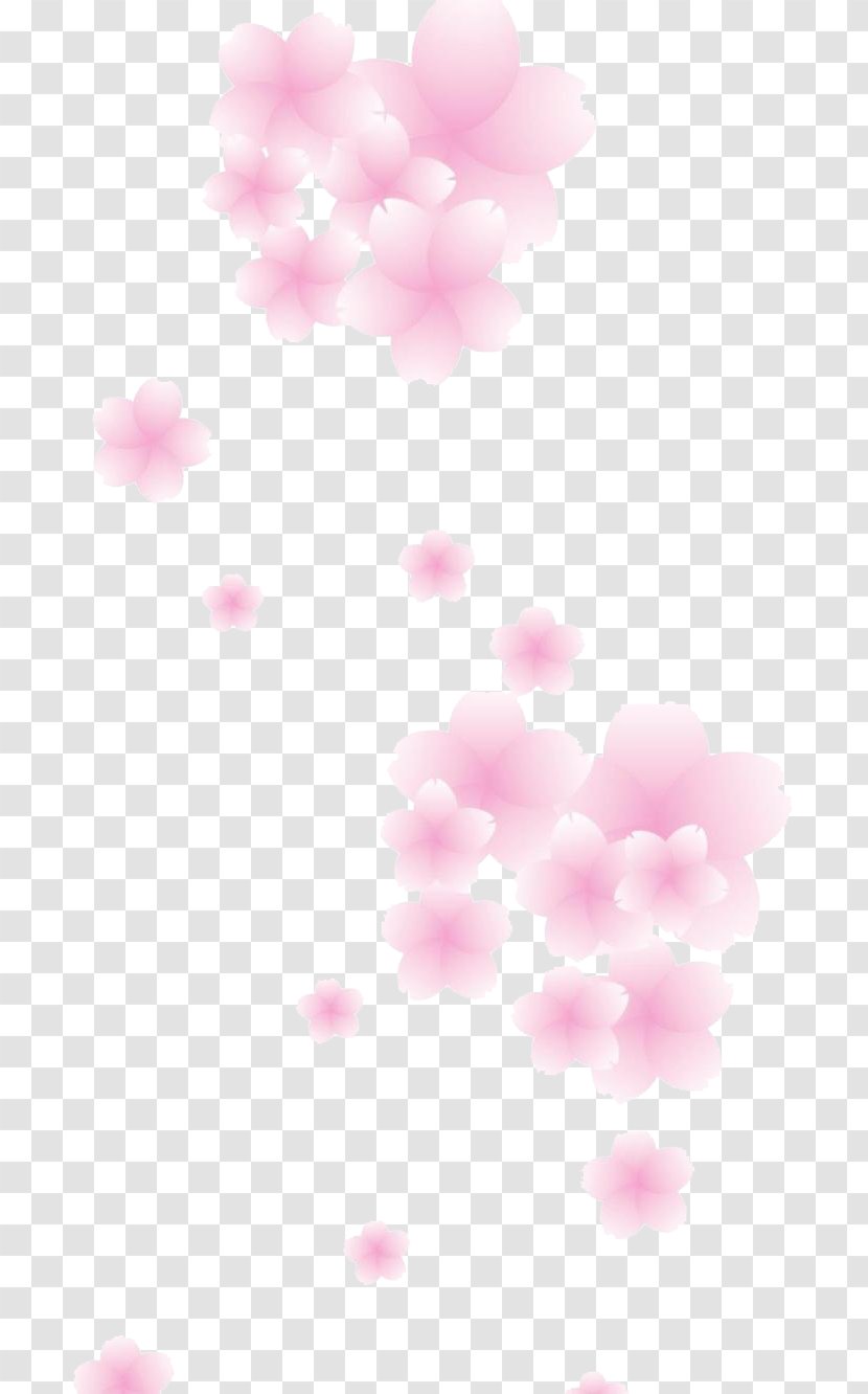Cherry Blossom Pink Petal - Blossoms Transparent PNG