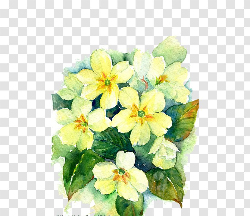 Floral Design Watercolor Painting Watercolor: Flowers Drawing Transparent PNG
